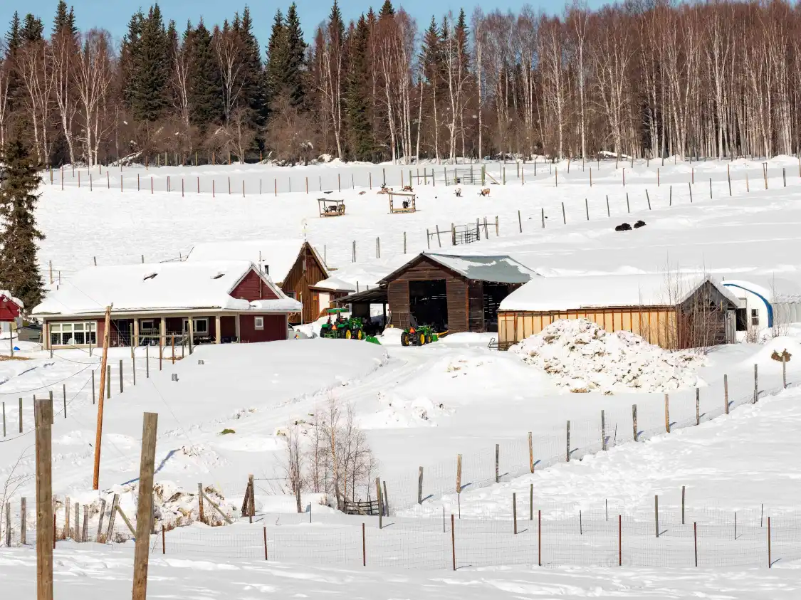 Hotels near Large Animal Research Station