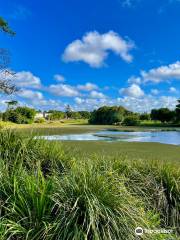 Mackay Regional Botanic Gardens