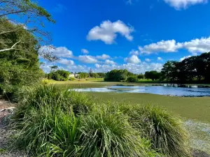 Mackay Regional Botanic Gardens