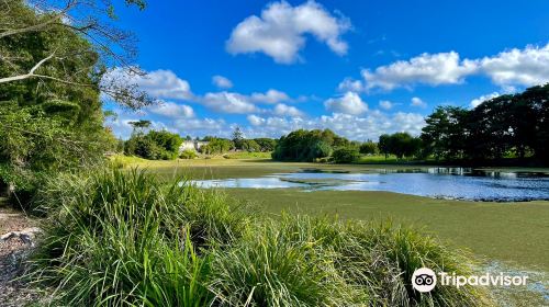 Mackay Regional Botanic Gardens