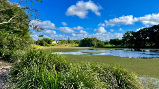 Mackay Regional Botanic Gardens