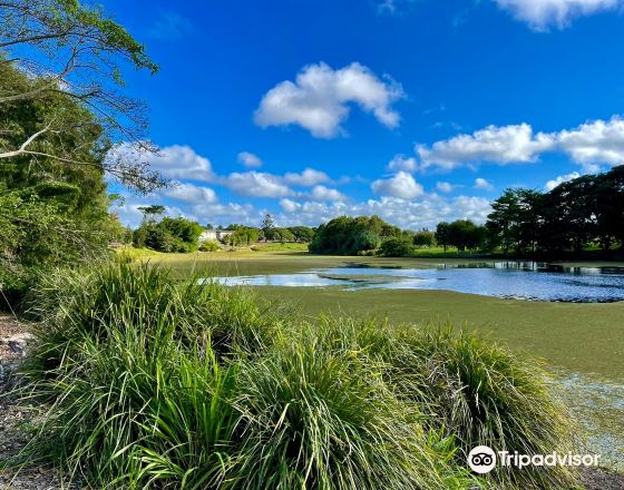麥凱 自由行套票