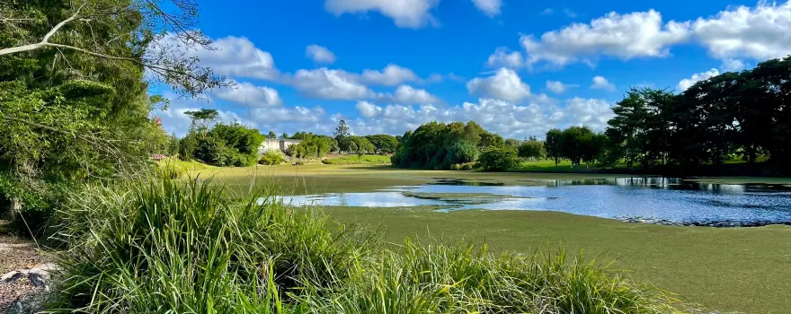 Mackay Regional Botanic Gardens