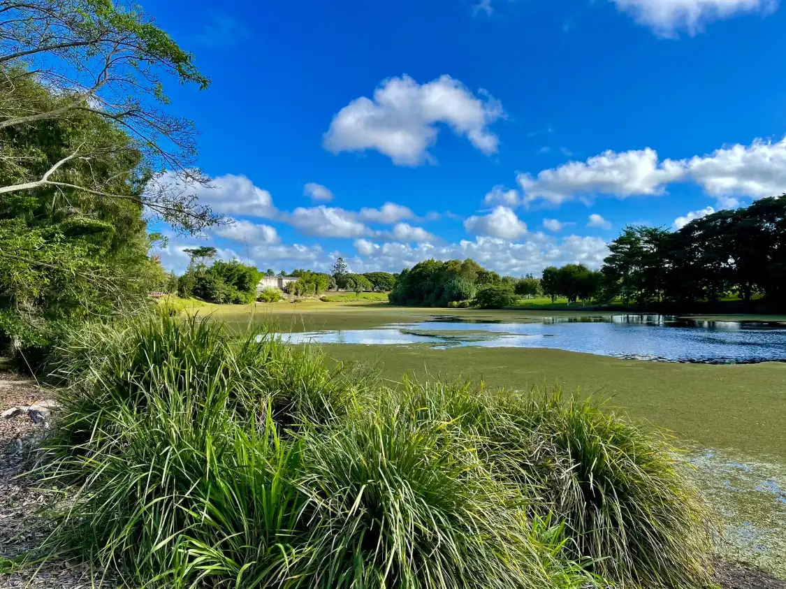 Hotels near Mackay Regional Botanic Gardens