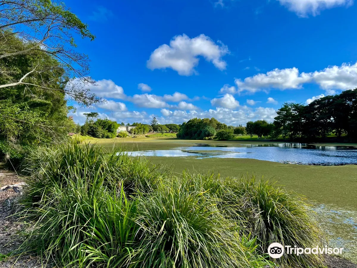 Mackay Regional Botanic Gardens