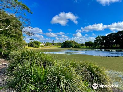 Mackay Regional Botanic Gardens