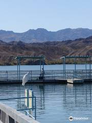 Lake Havasu State Park