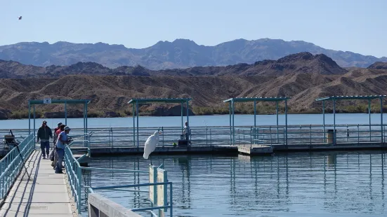 Lake Havasu State Park