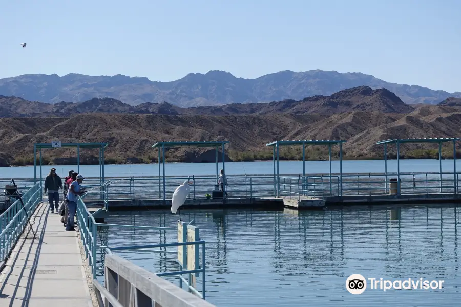 Lake Havasu State Park