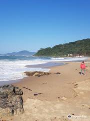 Praia da Saudade