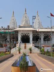 Shree Narayani Dham Temple