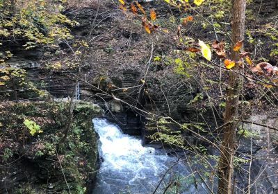 Eagle Cliff Falls