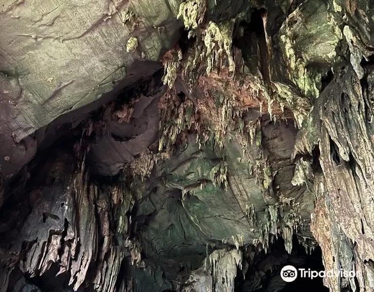 Cueva de Las Lechuzas