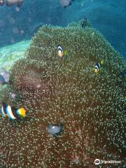 Weligama Bay Dive Center