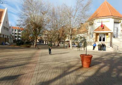 Ifrane