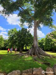 Parque Ceremonial Indigena de Caguana