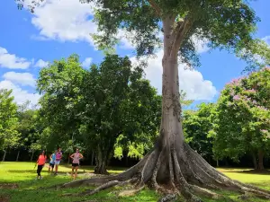 Caguana Ceremonial Indigenous Heritage Center