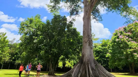 Parque Ceremonial Indigena de Caguana