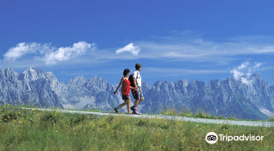 Bergbahn Scheffau GmbH & Co KG