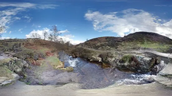 Bronte Waterfall