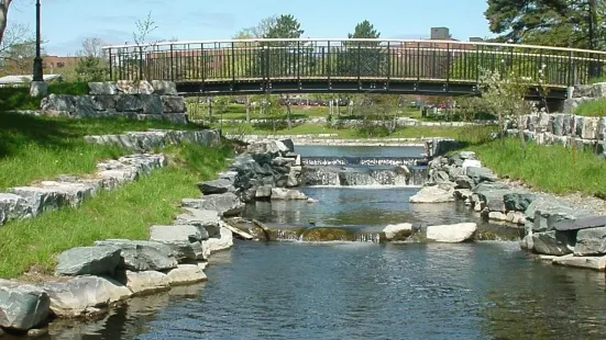 Bowring Park