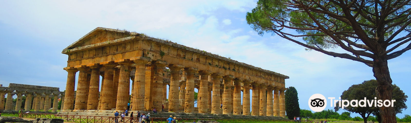 파이스툼데이 투어