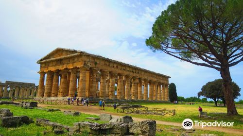 Temple of Athena