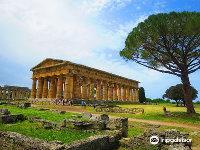 Temple of Athena