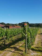 Theescombe Estate Wine Farm