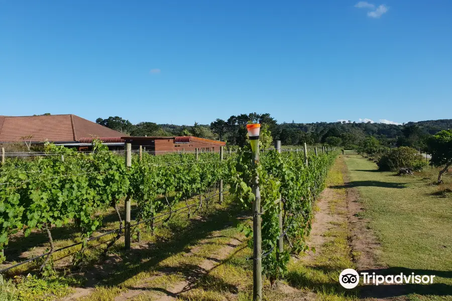 Theescombe Estate Wine Farm