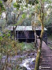 Magoebaskloof Hiking Trail