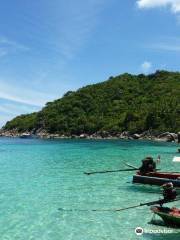 Dive Point - Koh Tao