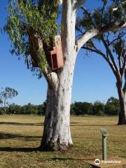 The Stump Flood Memorial