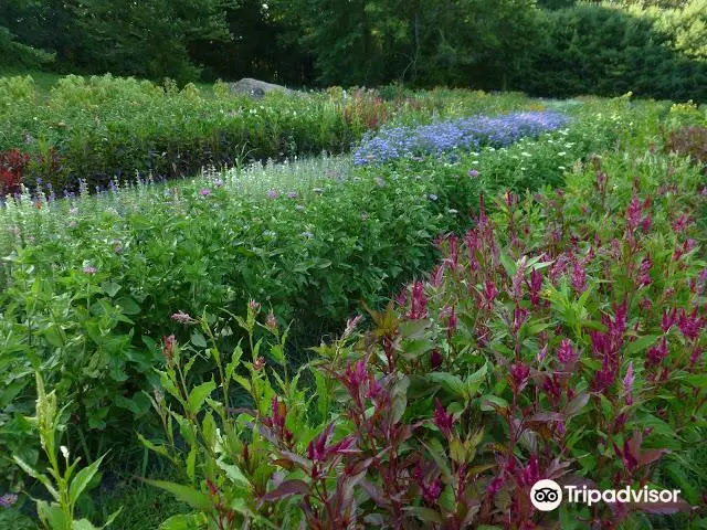 Brittany Hollow Farm