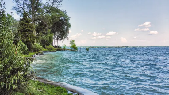 Brown’s Bay Day Park