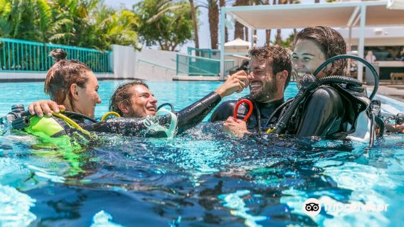 Manta Isrotel Diving Center