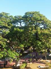 Plaza de la Independencia