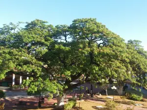 Plaza de la Independencia