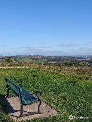 Apedale Community Country Park