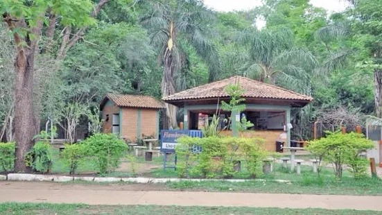 Horto Florestal de Rondonópolis