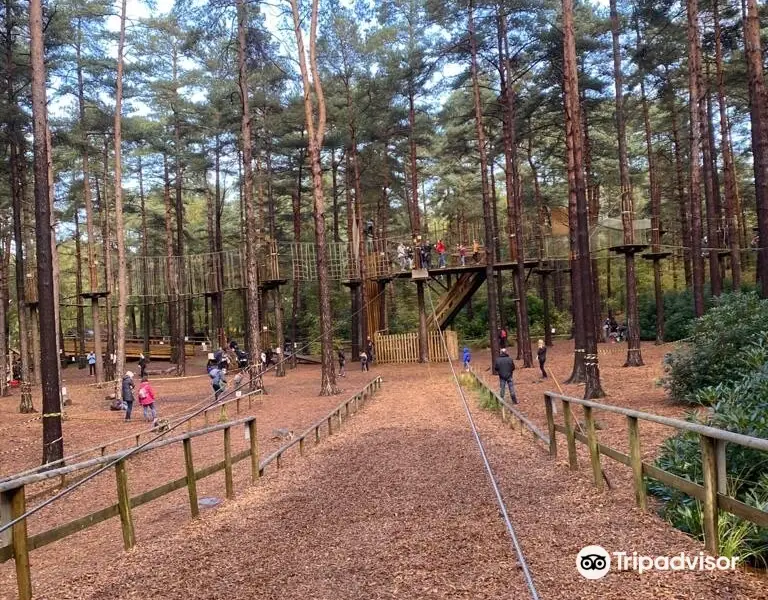 Go Ape Bracknell （Treetop Adventure, Forest Segways, Axe Throwing, Zip Lines, High Ropes）
