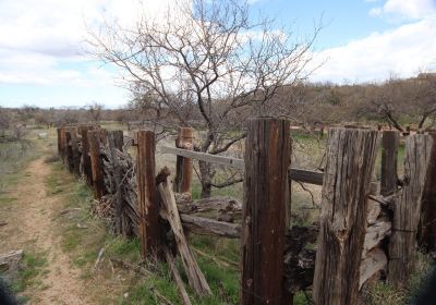 American Flag Ranch