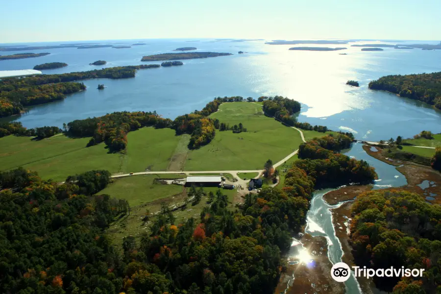 Wolfe's Neck Center for Agriculture & the Environment