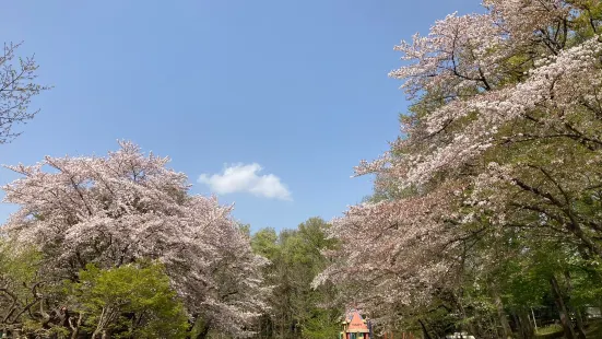 Kitamoto City Kodomo Park