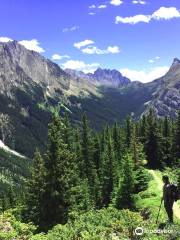 Mitchell Point Trail