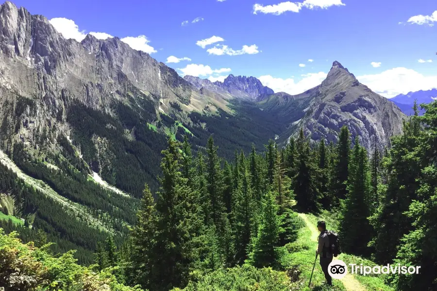 Mitchell Point Trail