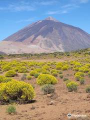 Teleférico del Teide (Estación superior)