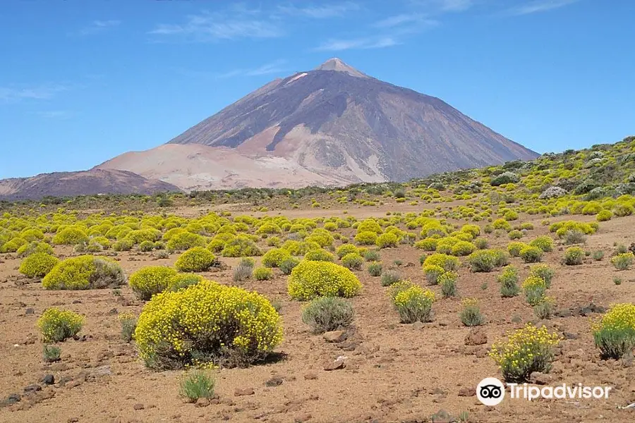 Teide Cable Car