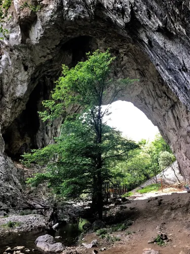 Vratna Monastery
