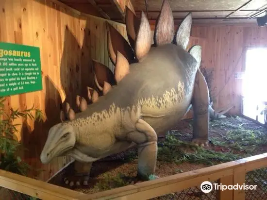 Jurassic Bart's Dinosaur Museum and Petting Farm